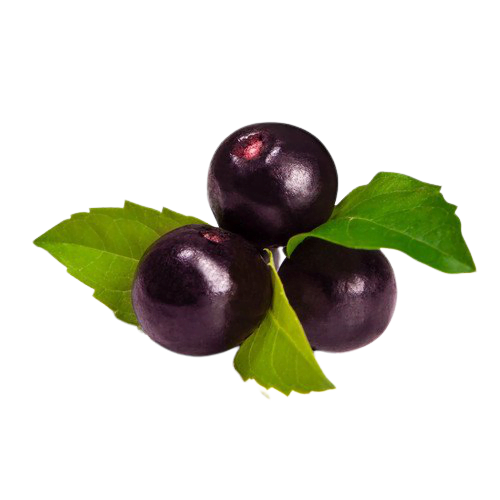 Acai Berry Png Photos (black)