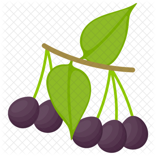 Acai Berry Png Pic (indigo, black, olive)