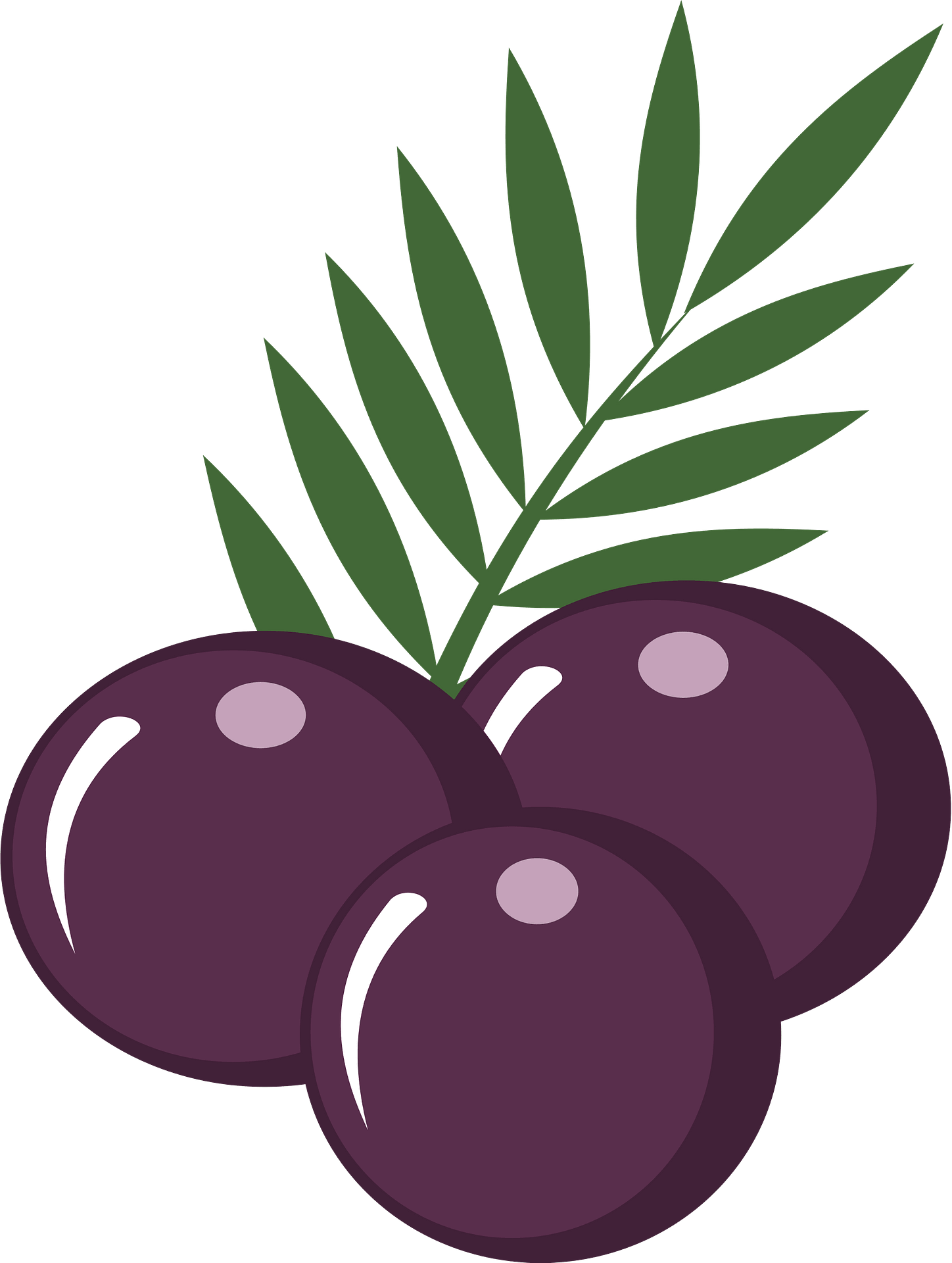 Acai Berry Png Transparent (olive, gray, indigo)