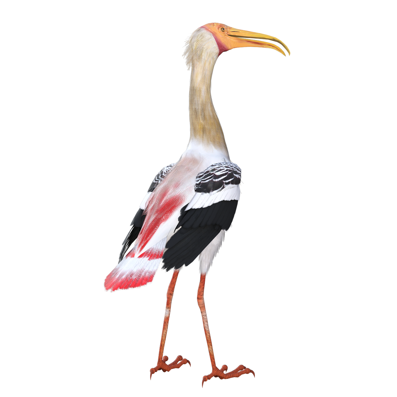 Ocean Birds Png Pic (black)