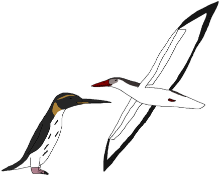 Ocean Birds Png Picture (white, black)