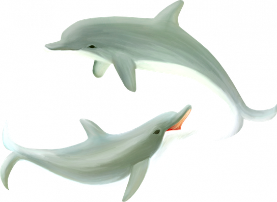 Oceanic Dolphins Png File (white, black)