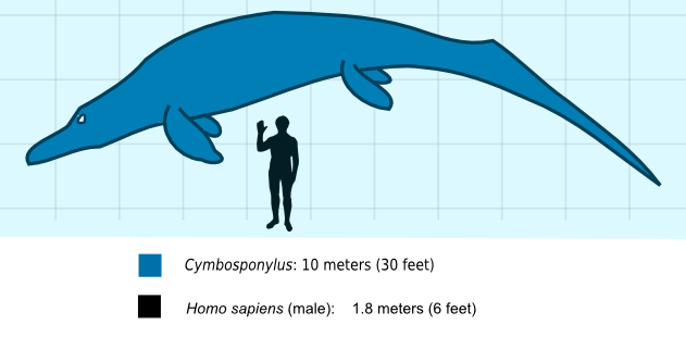 Ichthyosaur Half Life Png Cutout (mint, teal, greenish blue)