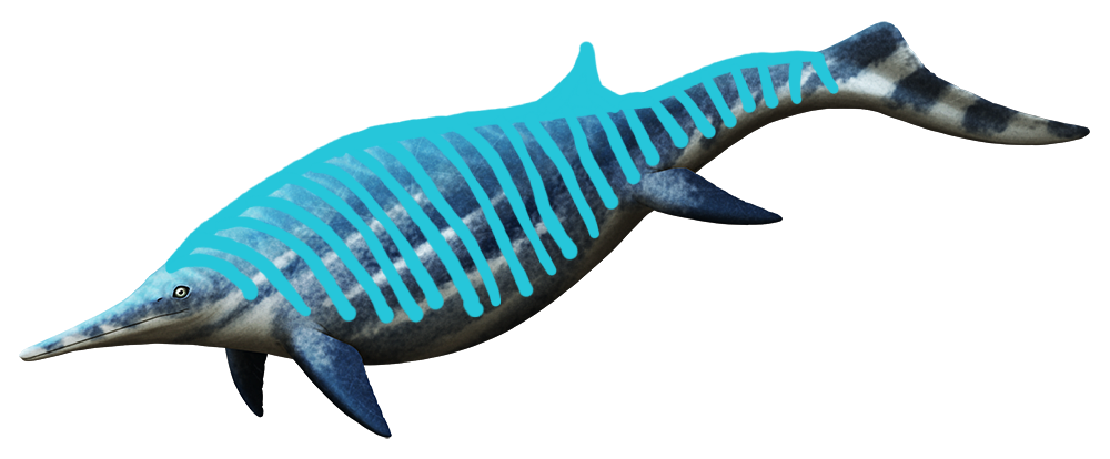 Ichthyosaur Png File (greenish blue, black)