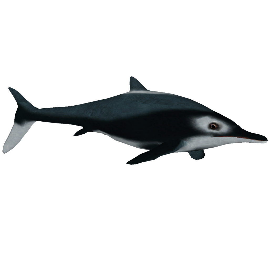 Ichthyosaur Png Image Hd (black)