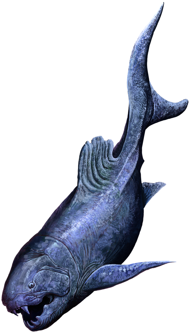 Ichthyosaur Png Image (black)