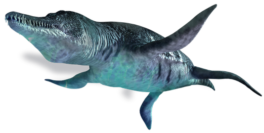 Ichthyosaur Png Photo (black)