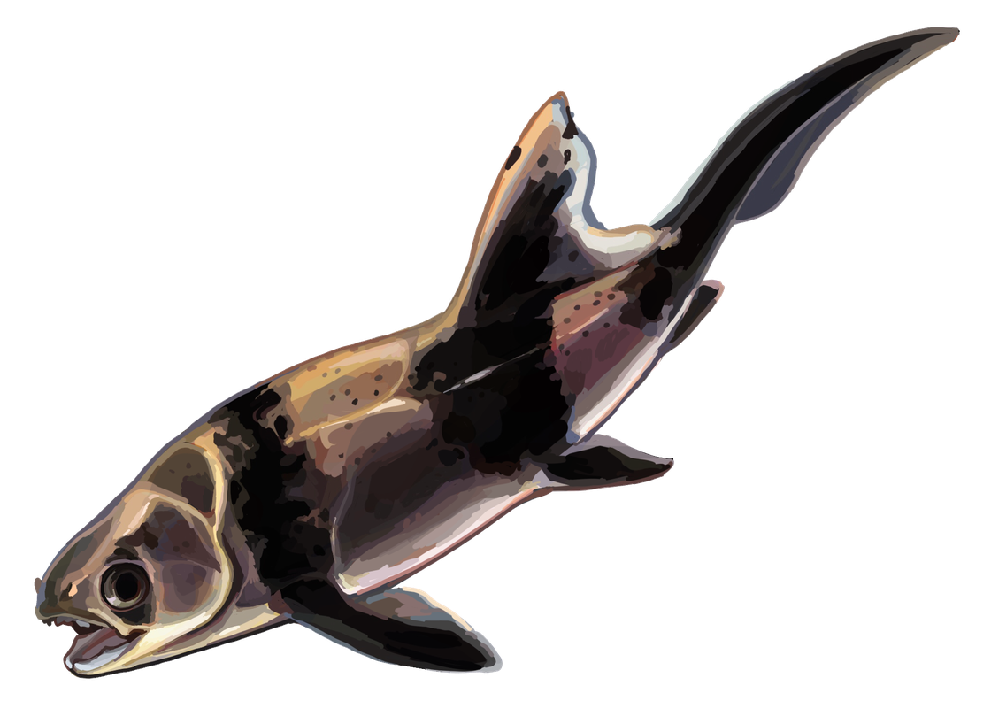 Ichthyosaur Png Photo (black)