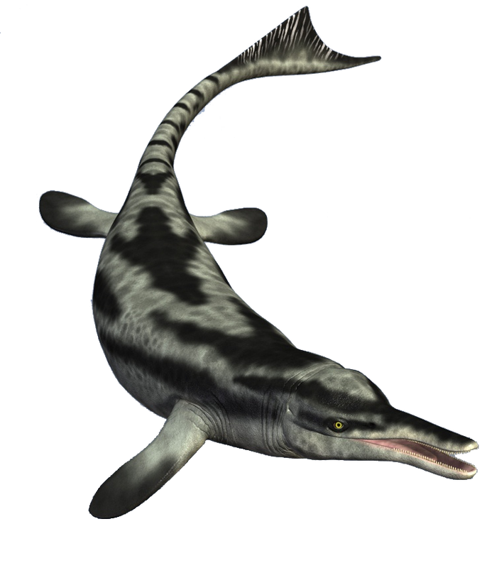 Ichthyosaur Png Photos (black)