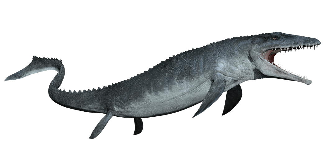 Ichthyosaur Transparent Images Png (gray)