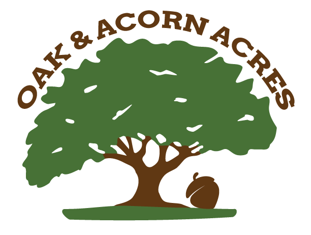 Acorn Oak Png Images (olive, indigo, maroon, white, black)