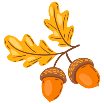 Acorn Oak Png Photos (black, salmon, orange)