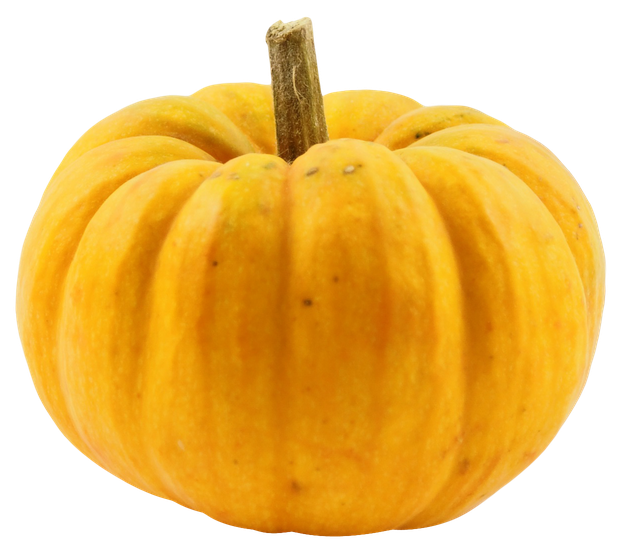 Acorn Squash Download Png Image (black, chocolate)