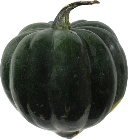 Acorn Squash Png Photos (black)