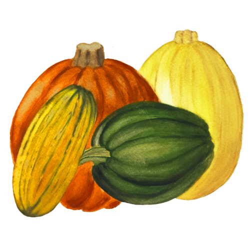 Acorn Squash Png Transparent Hd Photo (orange, black, gold)