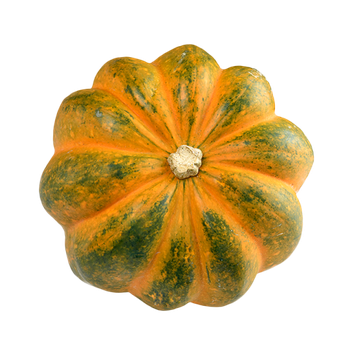 Acorn Squash Png Transparent Image (black, chocolate)