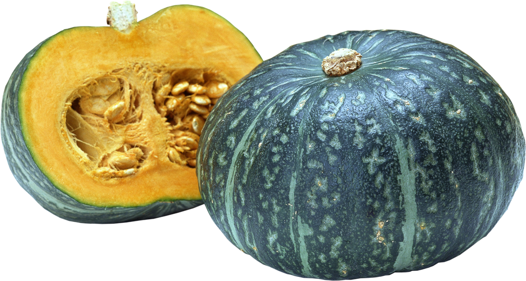 Acorn Squash Png Transparent Picture (teal, black, salmon, orange, gray)