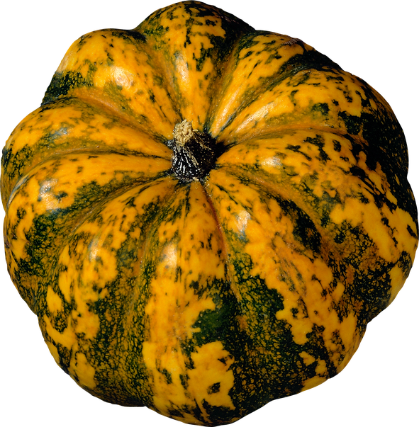 Acorn Squash Png Transparent (orange, black, chocolate)