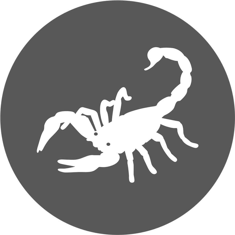 Scorpion Arachnids Download Png Image (black, white, gray)