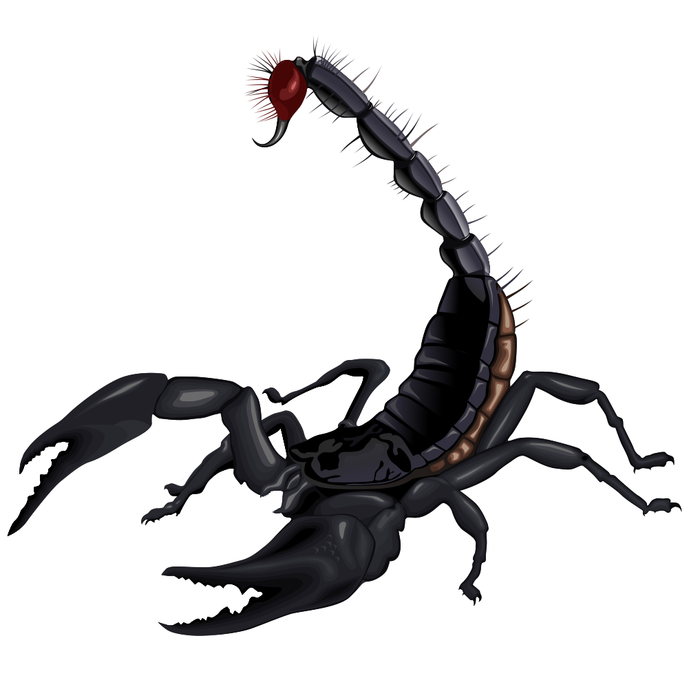 Scorpion Arachnids Png Hd Isolated (black, white)