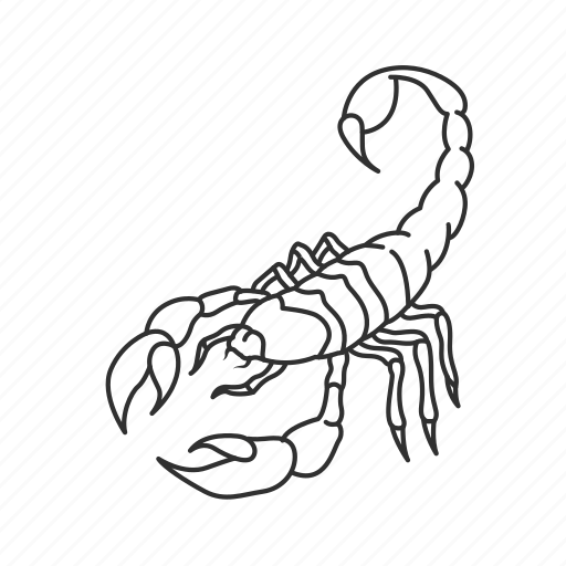 Scorpion Arachnids Png Image (silver, lavender, white, gray)