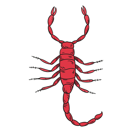 Scorpion Arachnids Png Isolated Hd (black, chocolate)