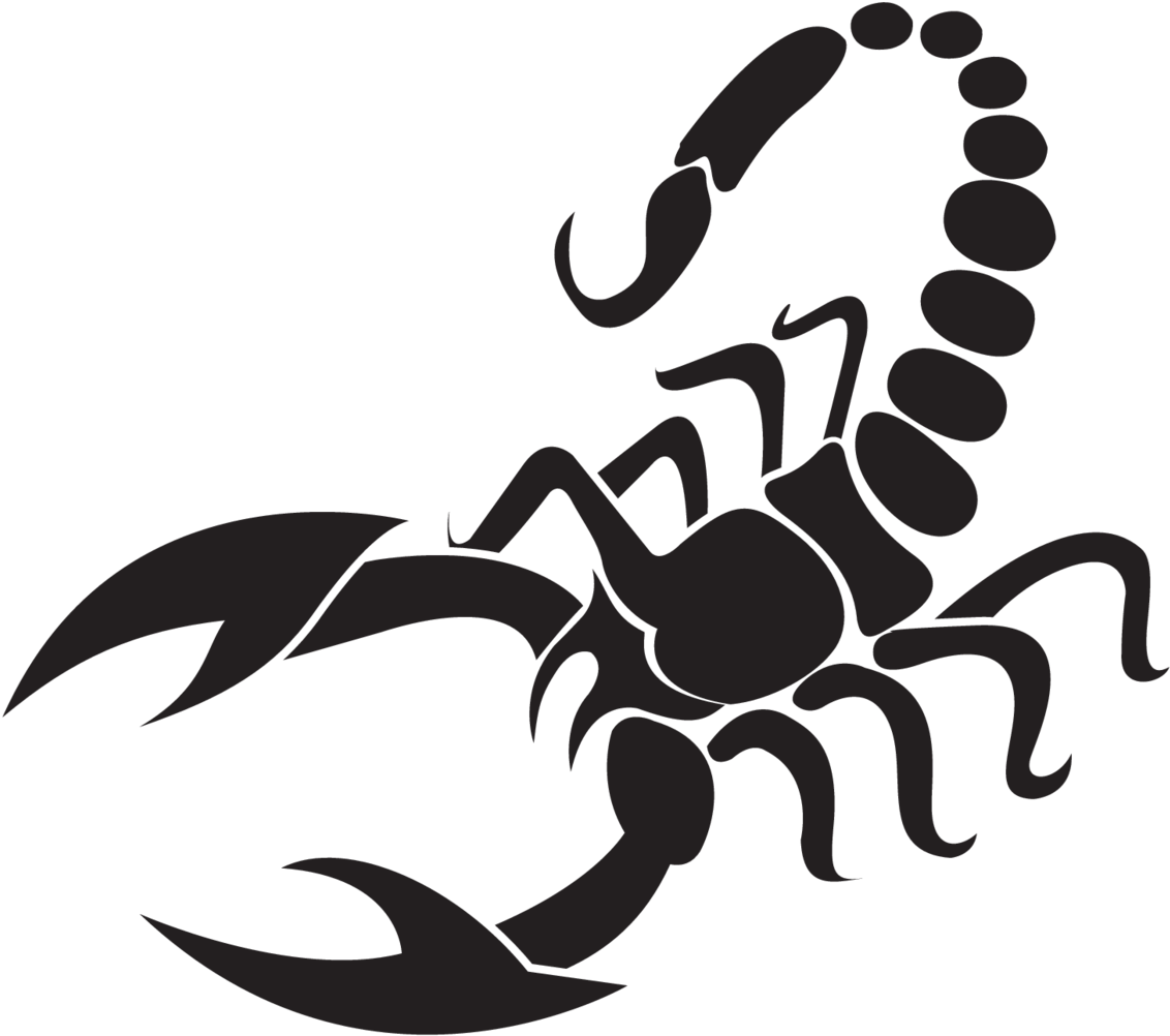 Scorpion Arachnids Png Isolated Photo (black)