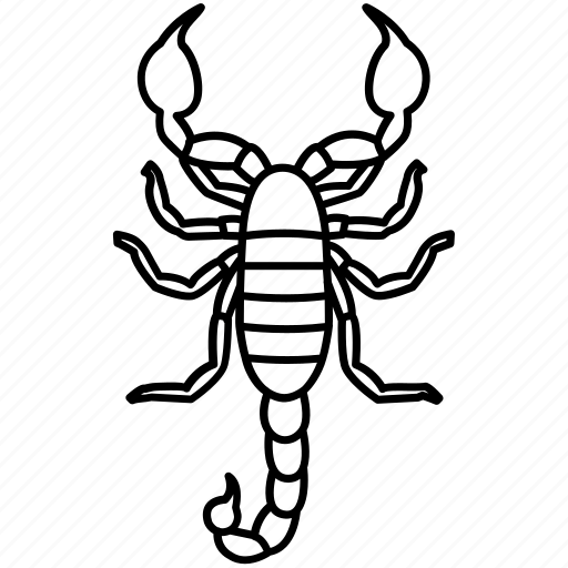 Scorpion Arachnids Png Picture (black)