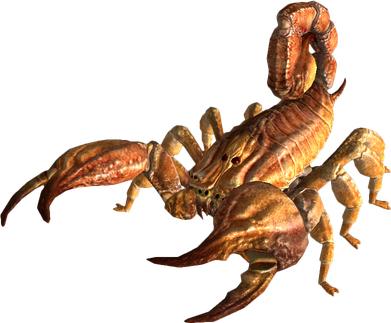 Scorpion Arachnids Png (black)