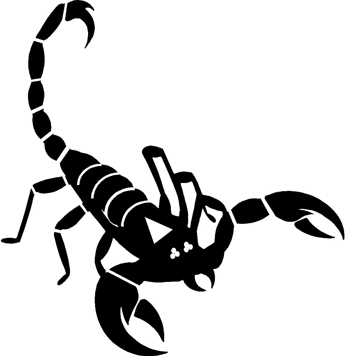 Scorpion Png File (black, white)