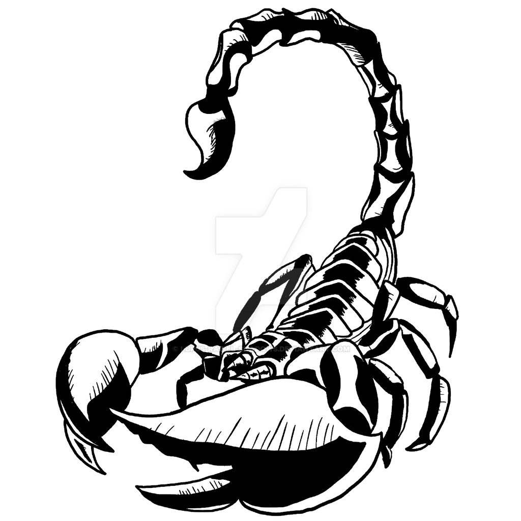 Scorpion Tattoo Png Hd Image (black, white)