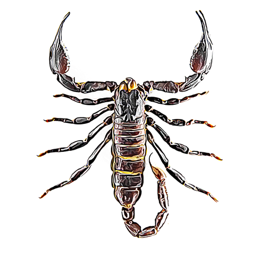 Scorpions Png Isolated Transparent Image (black, lavender, white)