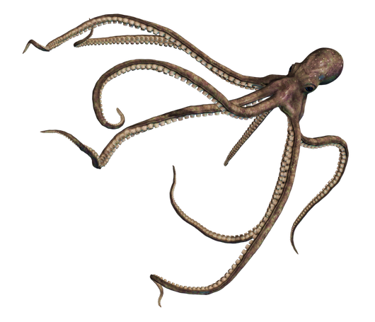 Octopus Png Pic (black)