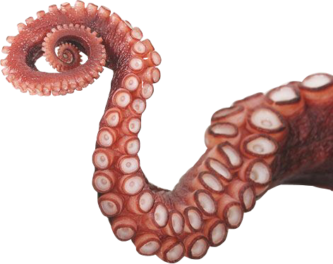 Octopus Tentacles Png Photos (maroon, black)