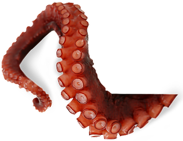 Octopus Tentacles Png Transparent Picture (maroon, black)