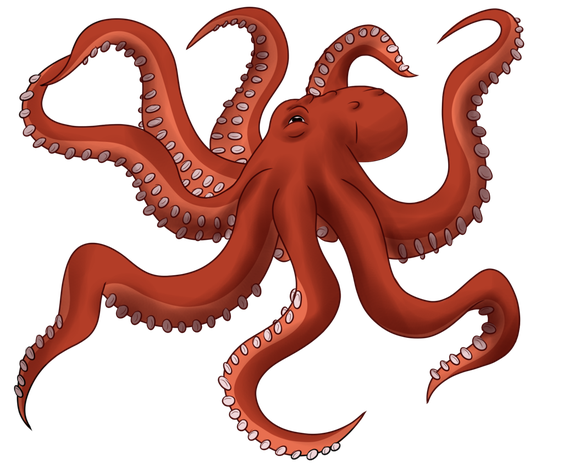 Octopus Toy Png Image (chocolate, black)