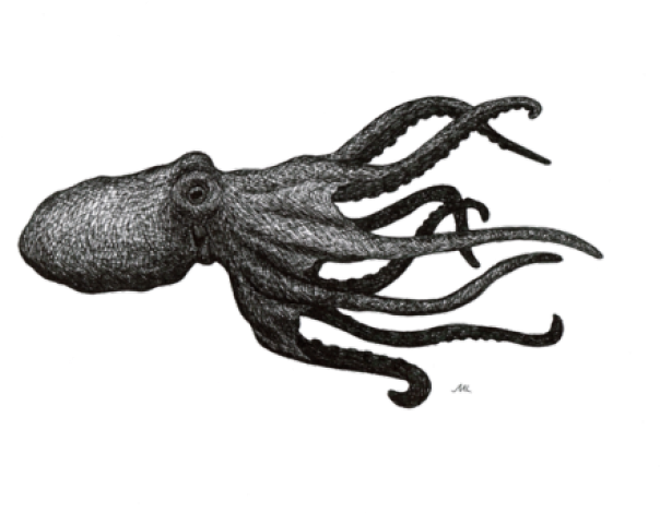 Octopuse Png Isolated Image (black)