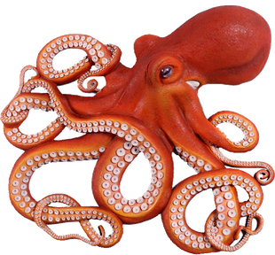 Octopuse Png Transparent (white, black)