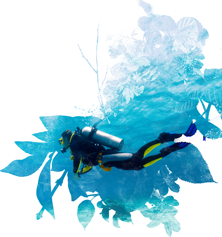 Scuba Diver Png Hd Image (black, teal)