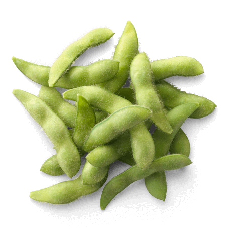 Edamame Beans Png File (black)