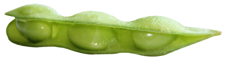 Edamame Beans Png Hd (olive, black, gray)