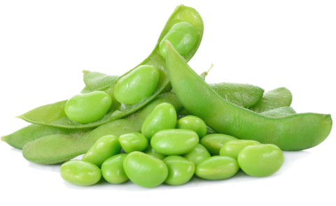 Edamame Beans Png Isolated Photo (black, gray, silver)