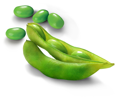 Edamame Beans Png Photo (silver, indigo, white)