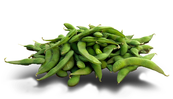 Edamame Beans Png Photos (black, gray)