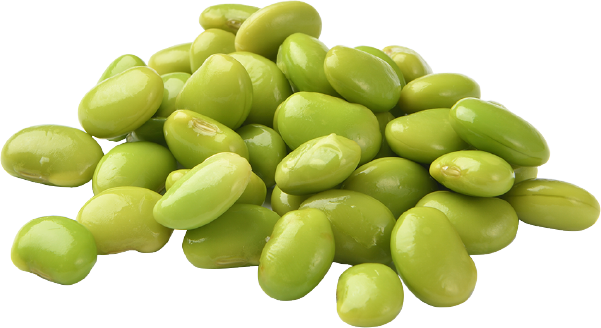 Edamame Beans Transparent Png (olive, black)