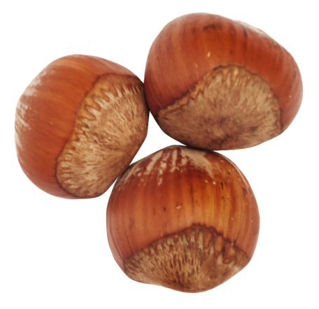 Edible Hazelnut Png File (black, chocolate)