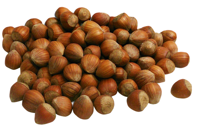 Edible Hazelnut Png Photos (olive, black)