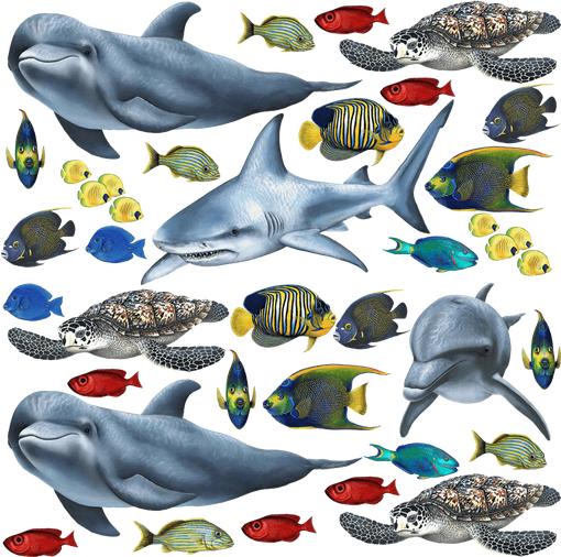 Sea Animal Png Photo (black)