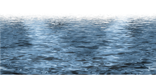 Sea Transparent Background (black, gray)