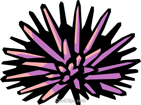 Sea Urchin Download Png Image (black, plum, gray)